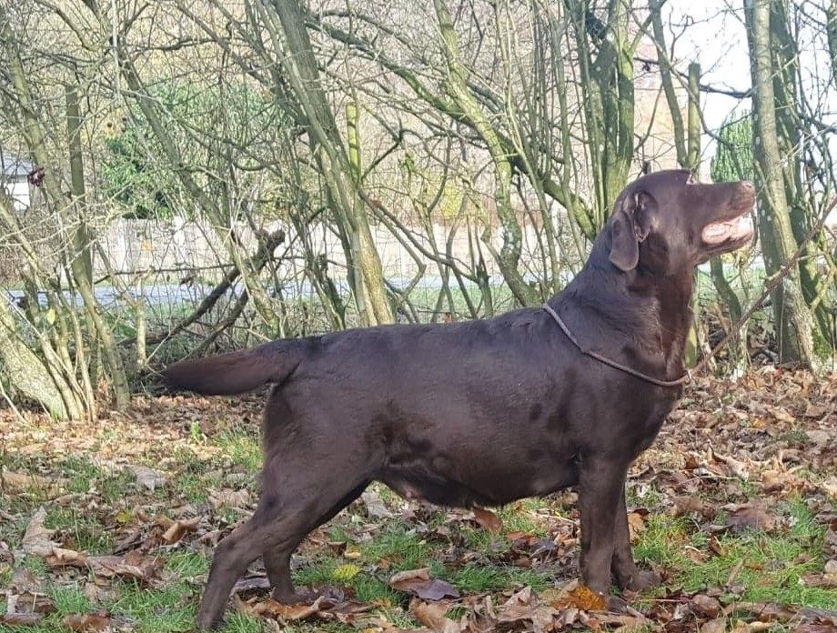 Rosa 2 år og 10 måneder